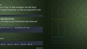 How to Take All Columns Except One Column in DataFrame Python