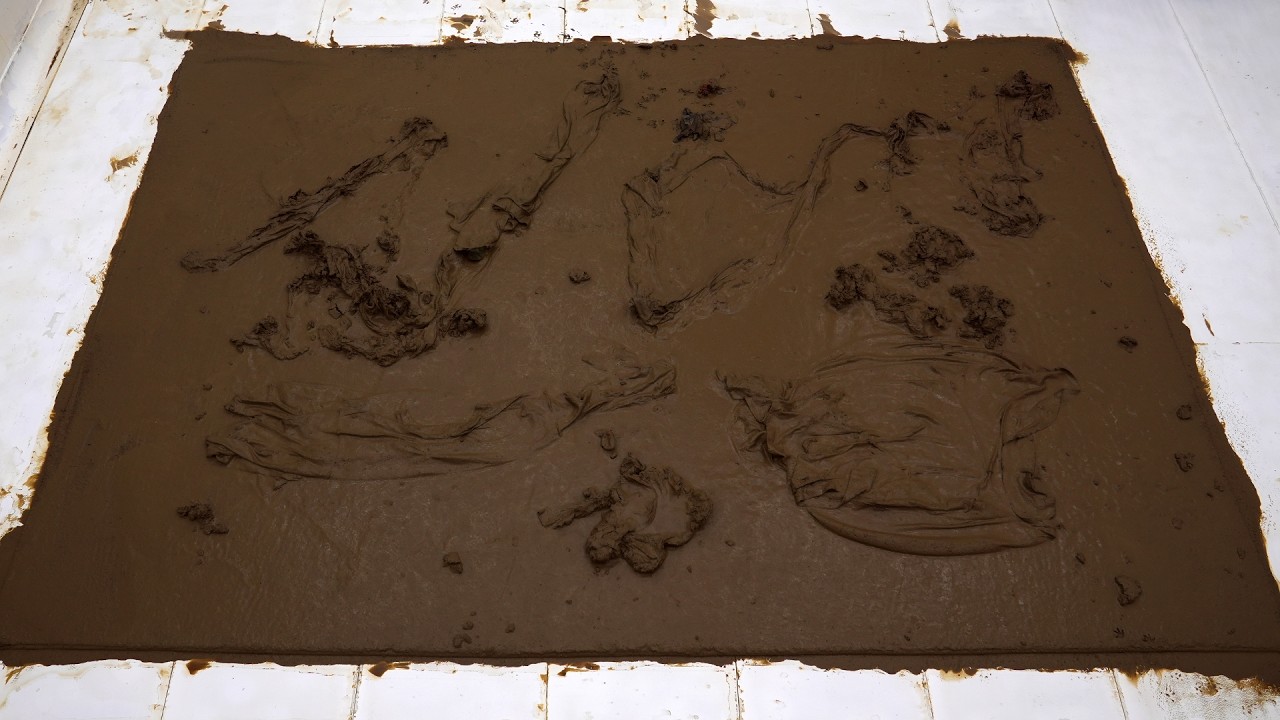 From Mud Pond to Clean Carpet… This One Tested Our Patience – Carpet Cleaning ASMR