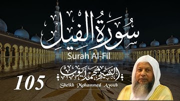 105 سورة الفيل كاملة _ الشيخ محمد أيوب  | Suratul Fil Complete _ Sheikh Mohammed Ayoub