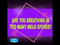 Mold Testing Inspection Land O Lakes 813-560-0509 TampaBayMold.net