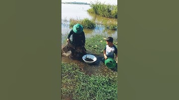 #Shorts Thăm lú 12 cửa ngục, kết quả không ngờ