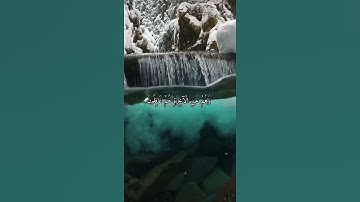 واتس اب قران كريم القارئ ياسر دوسري (سوره الروم)