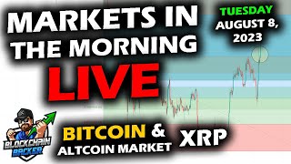 MARKETS in the MORNING, 8/8/2023, Bitcoin Price Rises, XRP Looks for Base, Stocks Fall, Altcoins Up