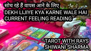 Apke person ki current feeling|NextAction|collectivetimelessreading|tarotwithrays ❤️