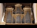 Mendelssohn on silbermann organ  xaver varnus sonata in d minor