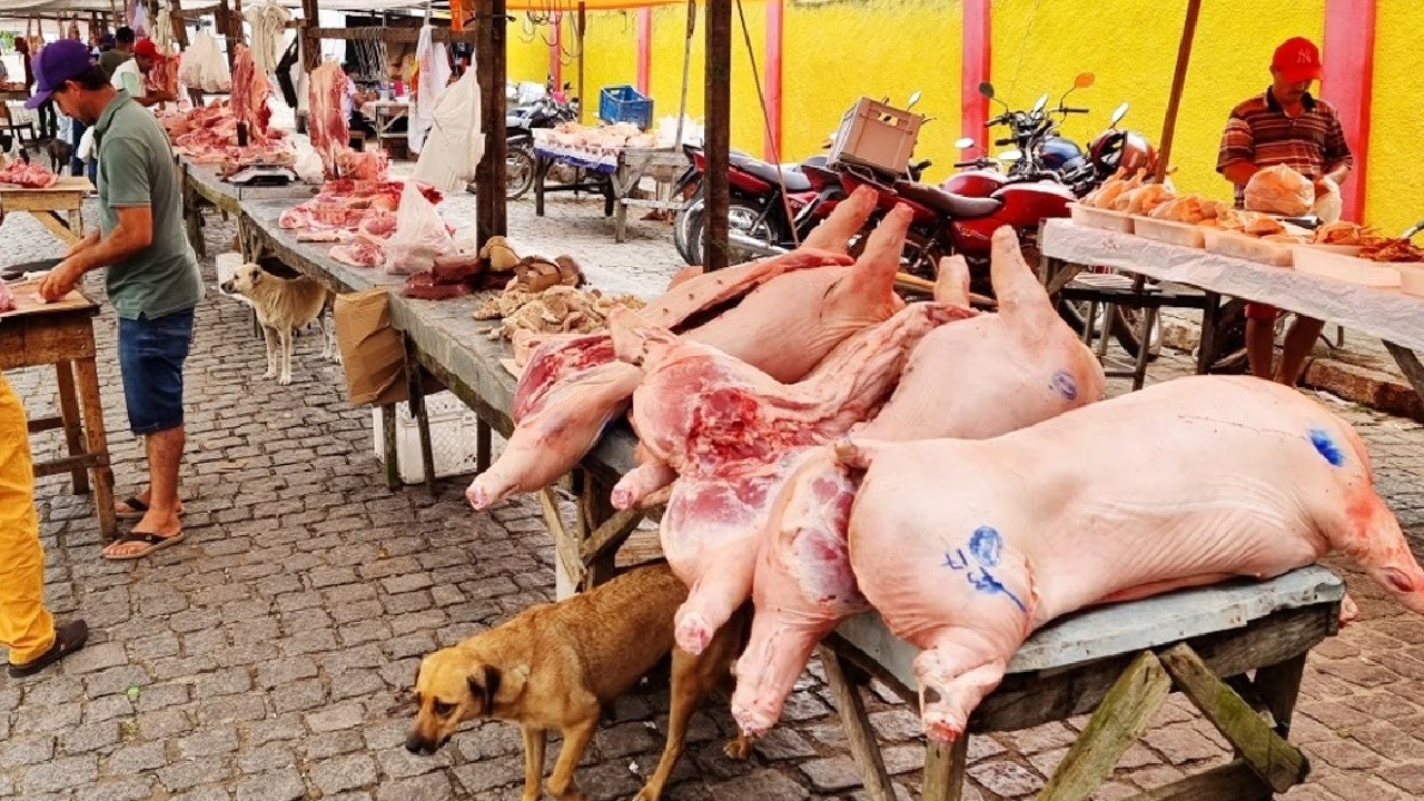 A FEIRA DAS CARNES EM CAPOEIRAS-PE É SÓ FARTURA!!!