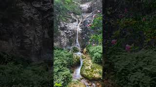 Nature Sound for Relaxation 270 Flowing Water #short #watersounds #flowingwater #naturrelaxation