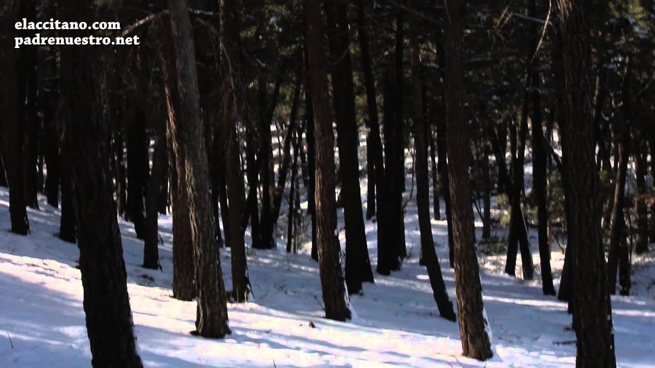 Nieve en el Parque natural de Sierra nevada en Jérez del marquesado