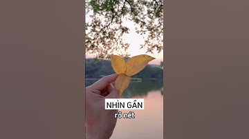 3 Dấu hiệu nhận biết mắt cận thị | Dr.DucMinhDo #bsmắtđỗminhđức #shorts