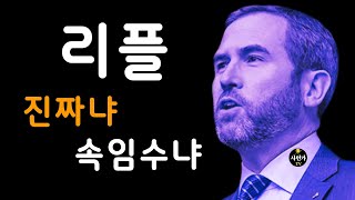 [필독!!] 리플.. 진짜냐 속임수냐