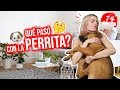 REGALAREMOS A LA NUEVA PERRITA?!! 😢💔🐶 VLOGMAS #14