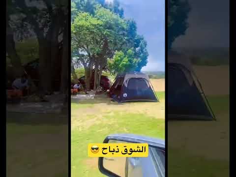 اشتقنا يا الجنوب 