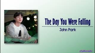 John Park – The Day You Were Falling [Forecasting Love and Weather OST Part 5] [Rom|Eng Lyric]