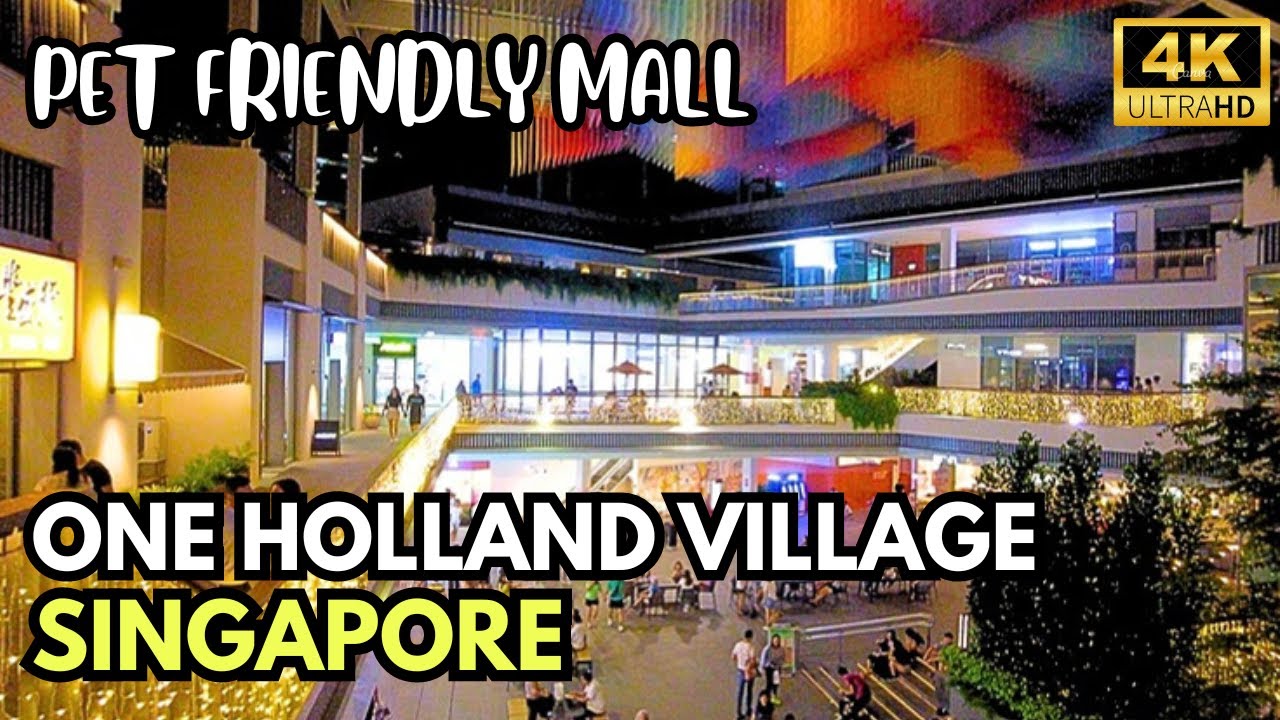 MALL FOR PETS - ONE HOLLAND VILLAGE~ Singapore Walking Tours [4K]