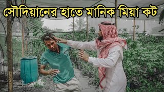 মানিক মিয়া আবার মাইর খেলো সৌদিয়ানের হাতে। Manik miah