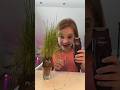 Graskopf beim Haare schneiden! Teil2  #spielen #puppenspiel