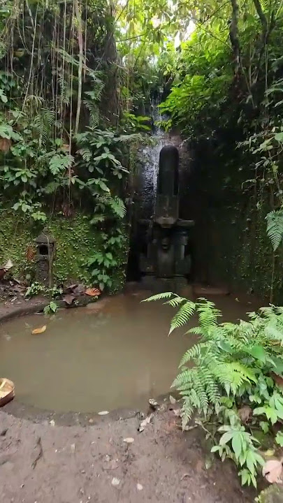 Shiva Linga Deep Inside The Jungle in Bali 🔱