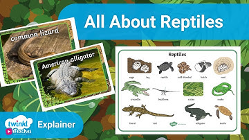 All About Reptiles | KS2 Topic Resources