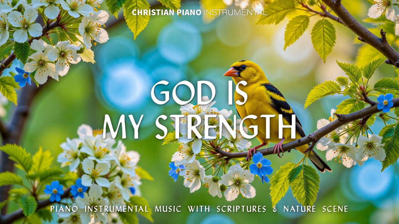 God Is My Strength : Instrumental Piano Music With Bible Verses & Beautiful Nature Scenes