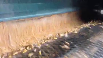 Scalperator (Corn and Cob Aspiration) - Carter Day