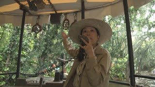 ジャングルクルーズ改装 ＴＤＬ、８日から一般公開
