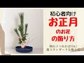 松と千両でいけよう☆超基本のお正月のお花の飾り方