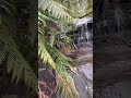 #hazelbrook #sydney #sydney #australia