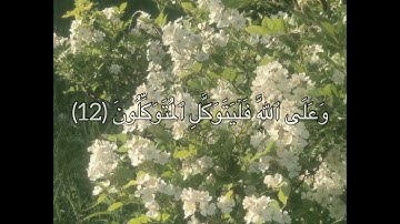 القرآن الكريم | سورة ابراهيم الآية ١٢ 🤍 |