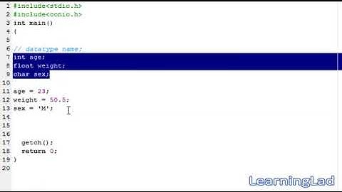 Variables Declaration and Usage in C Programming   Video Tutorials