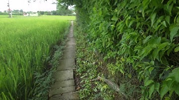 Bán Đất Thổ Cư 10x25m Giá chỉ 650 triệu (Đã Bán) Zalo ĐT‘0786668368’