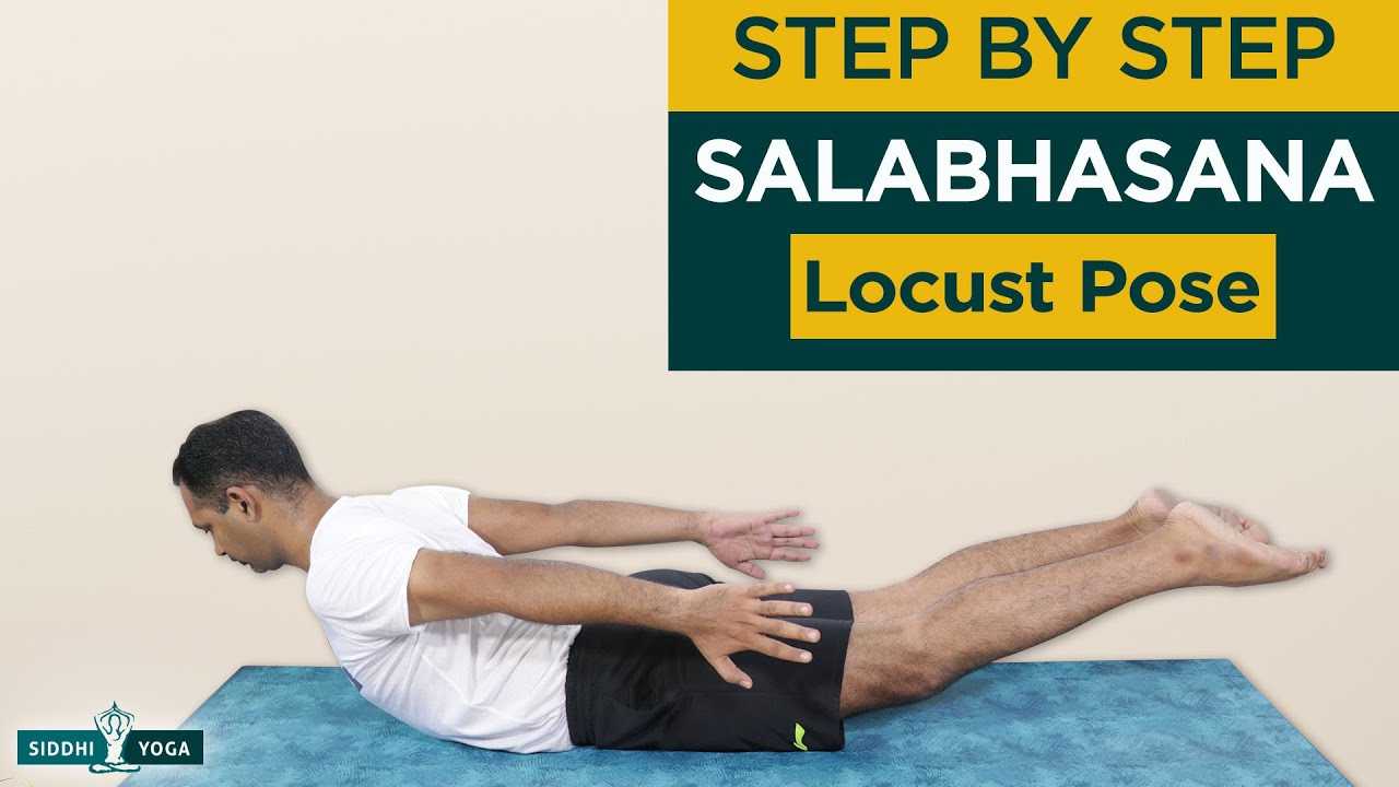 Yoga and Ayurveda Lifestyle - Salabhasana ( Locust Pose) Method . Lie with  your stomach and place both the hands underneath the thighs. . Inhale and  raise the right leg up; the