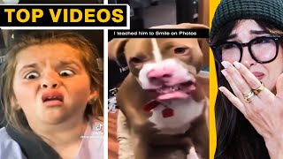 TikToks That Made Me Cry Laughing | SSSniperWolf