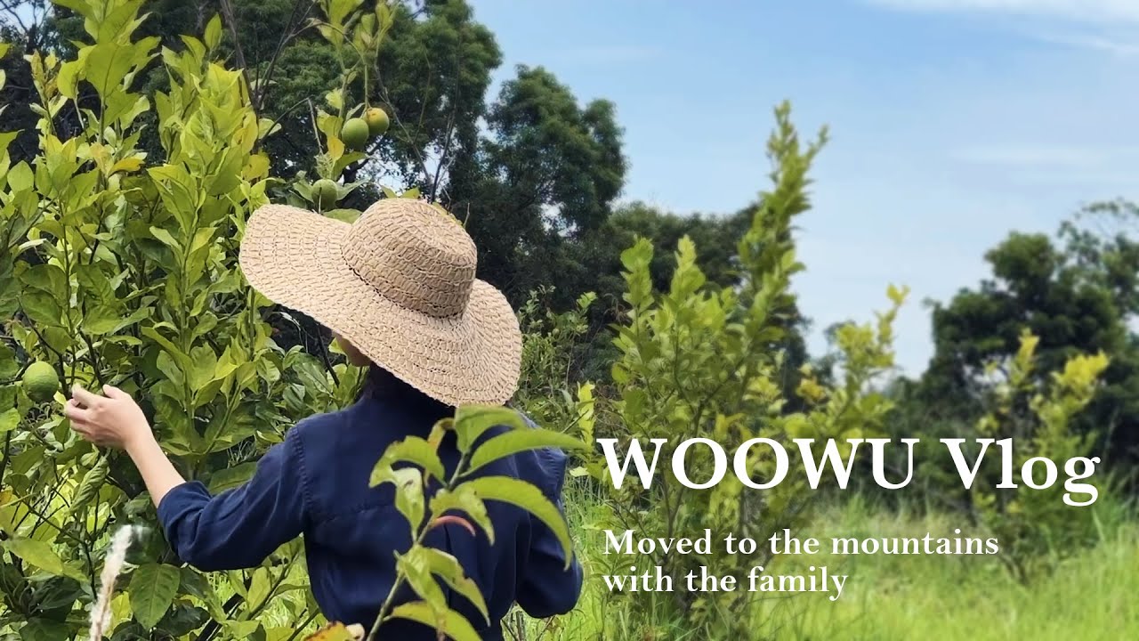 採夏末檸檬Vlog ｜自製蜂蜜檸檬醋｜豐盛早餐&手沖咖啡