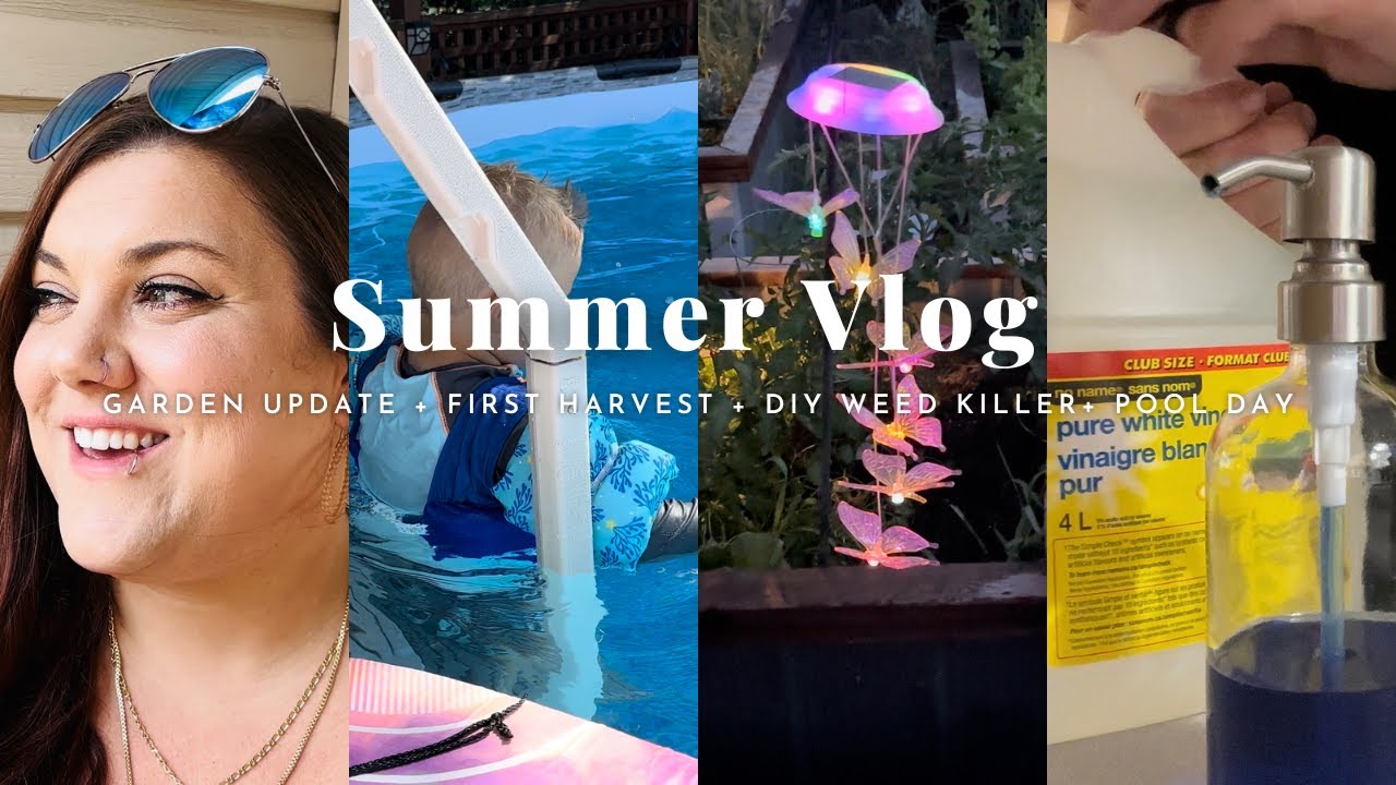 GARDEN TOUR | NATURAL & SAFE WEED KILLER | BURDOCK REMOVAL | HARVESTING TOMATOES