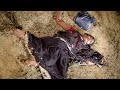 Best South South Hindi Dubbed Movie Scene | Www Virus Com Hindi Dubbed Movie Scene 02