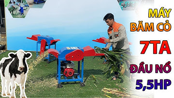 Máy Băm Cỏ 7TA Phiền Bản Dùng Đầu Nổ Chạy Xăng Cơ Động