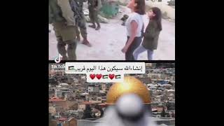 شاهد جرأة طفلة فلسطينية تواجه جنود المحتل بكلمات جريئة