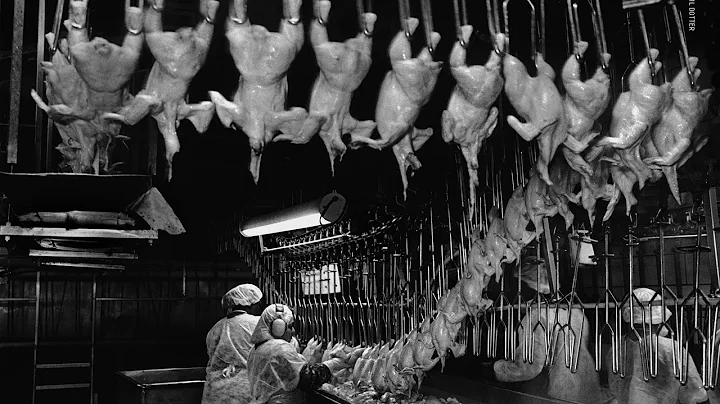 Why is Big Poultry leaving workers behind?