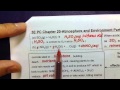C17 - Atmosphere and Environment Mindmap (Pure Chem)