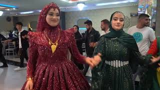Yöre Siirt düğünü (Ep Ailesi ) muhteşem aşiret düğünü 
