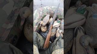 Лучшая охота на утку screenshot 3