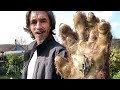 This Youtuber Has Proof Bigfoot Is Real