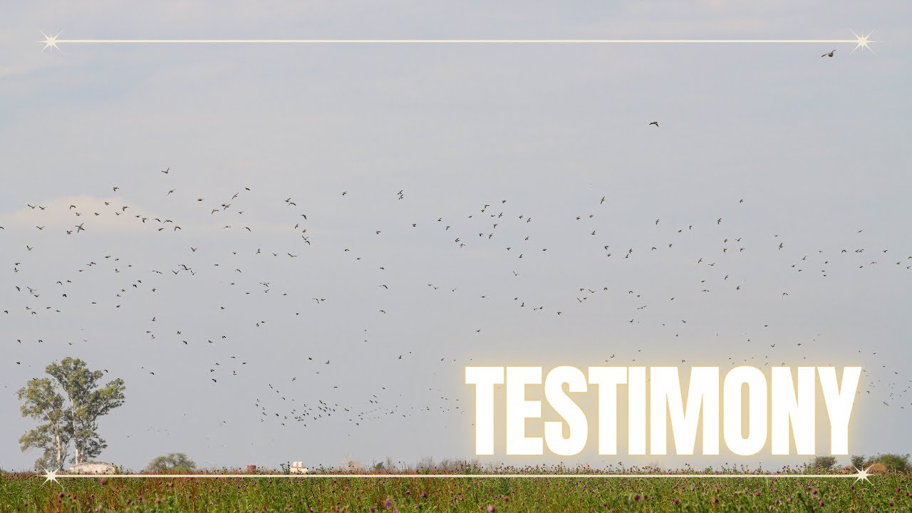 Testimony – Group 24 – 2025