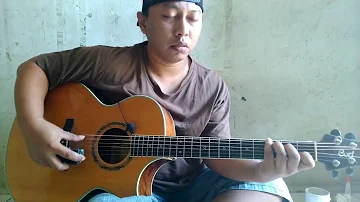 Tanah Airku - cipt. Ibu Sud (COVER)