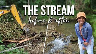 My Farm Restoration Progress | Clearing the Stream