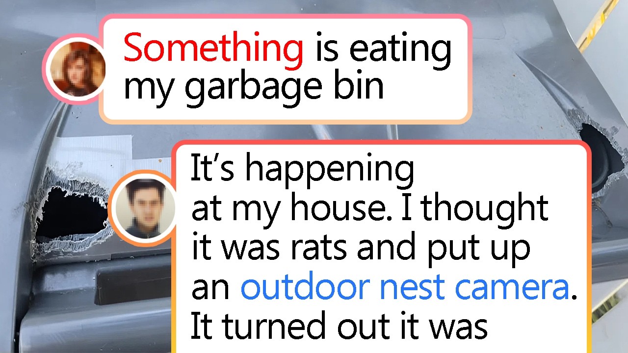 Oddly Terrifying Things People Spotted That Will Test Your Nerves