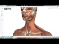 Exploreaza anatomia corpului uman in 3D 