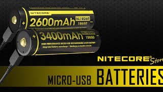 Micro USB 14500 Rechargeable Li-ion Battery 750mAh - NL1475R
