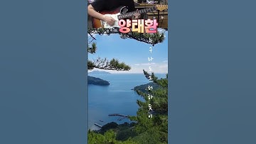 참 멋있고 좋다 #양태환 #기타연주 #누구라도그러하듯이