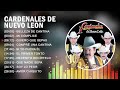 Cardenales de Nuevo León Grandes Exitos  10 Corridos Famosos Exitos de